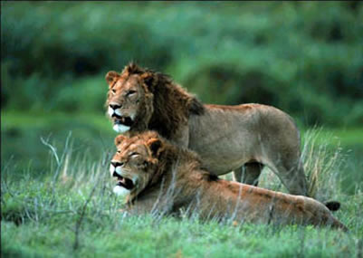 Spectacular South Africa